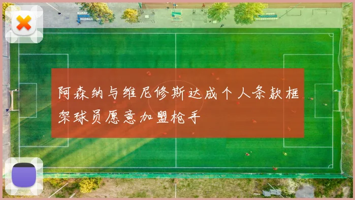 阿森纳与维尼修斯达成个人条款框架球员愿意加盟枪手